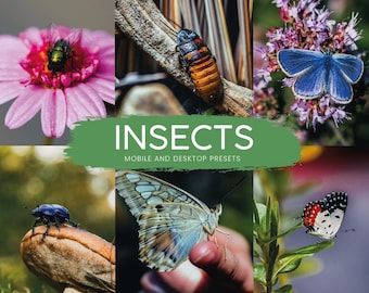 Insect Photography Lightroom Presets | Mobile & Desktop (Digital Download)