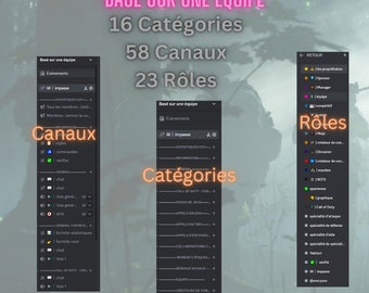 Modèle de discorde communautaire de jeu basé sur une équipe