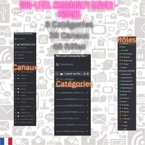 Mid-Level Community Server - French