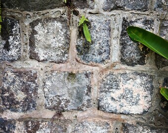 Zoom Background | Volcanic Rock | Happy Spring | Photo Project