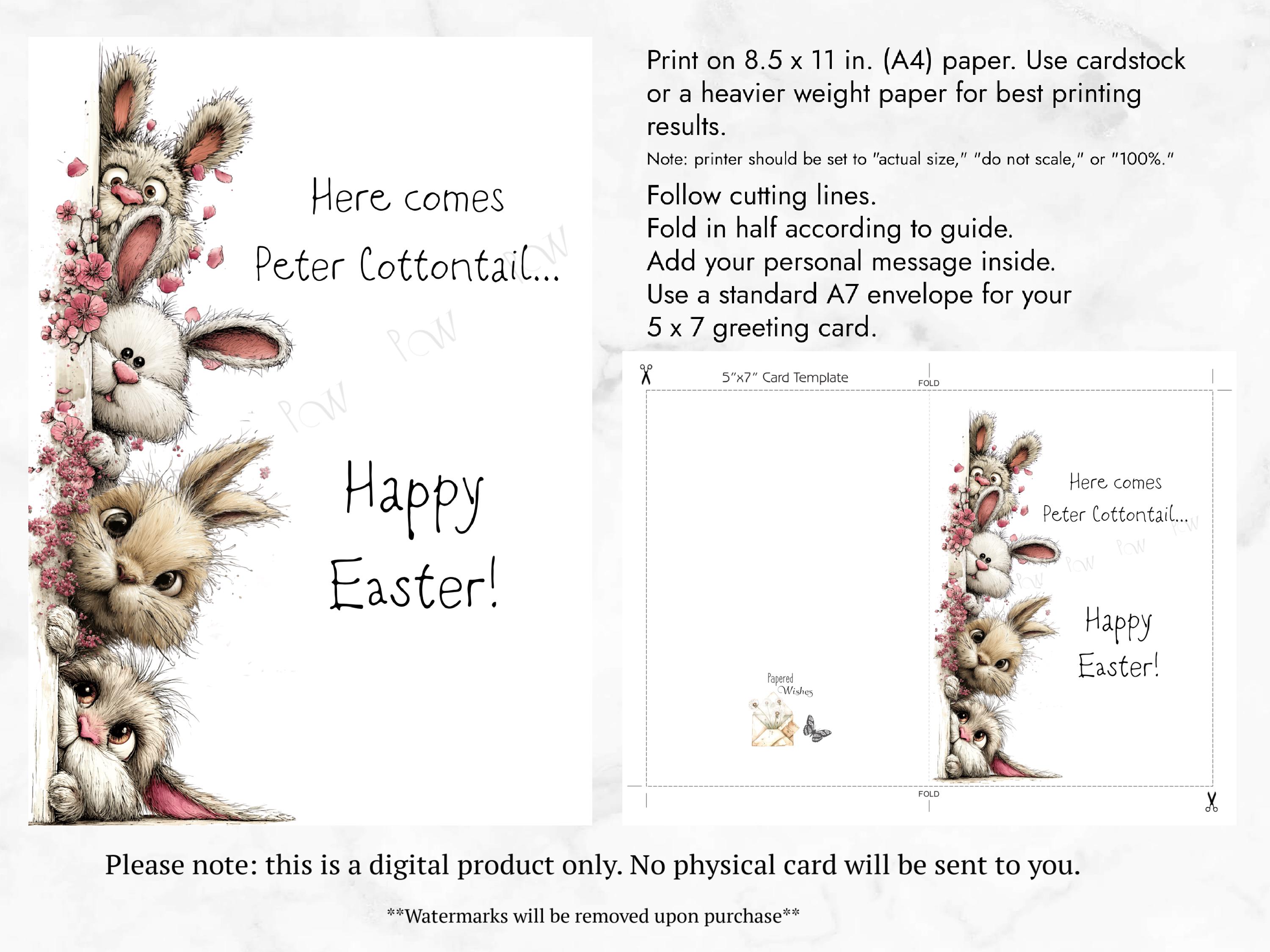 Cottontail Rabbit Card Bunny Peter Cottontail Easter Card, Whimsical Greetings (digital ...