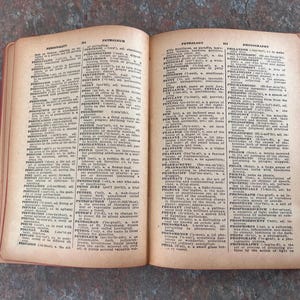 Modern Webster Dictionary and World Book. 1940. Black and gold with red page edges. image 14