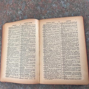 Modern Webster Dictionary and World Book. 1940. Black and gold with red page edges. image 15