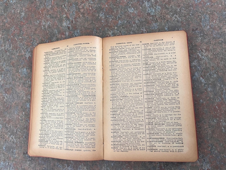 Modern Webster Dictionary and World Book. 1940. Black and gold with red page edges. image 15