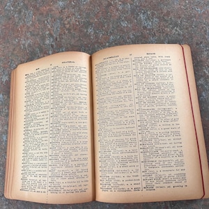 Modern Webster Dictionary and World Book. 1940. Black and gold with red page edges. image 10