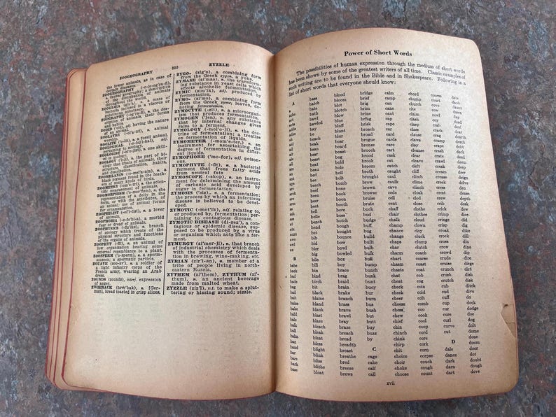 Modern Webster Dictionary and World Book. 1940. Black and gold with red page edges. image 4