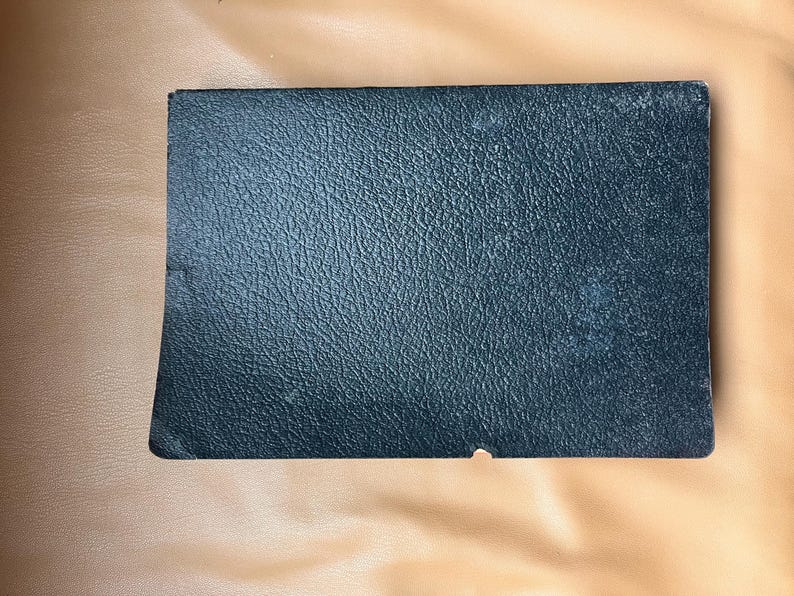 Modern Webster Dictionary and World Book. 1940. Black and gold with red page edges. image 13