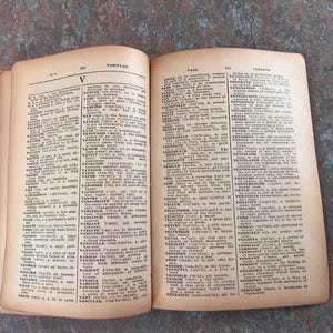 Modern Webster Dictionary and World Book. 1940. Black and gold with red page edges. image 11