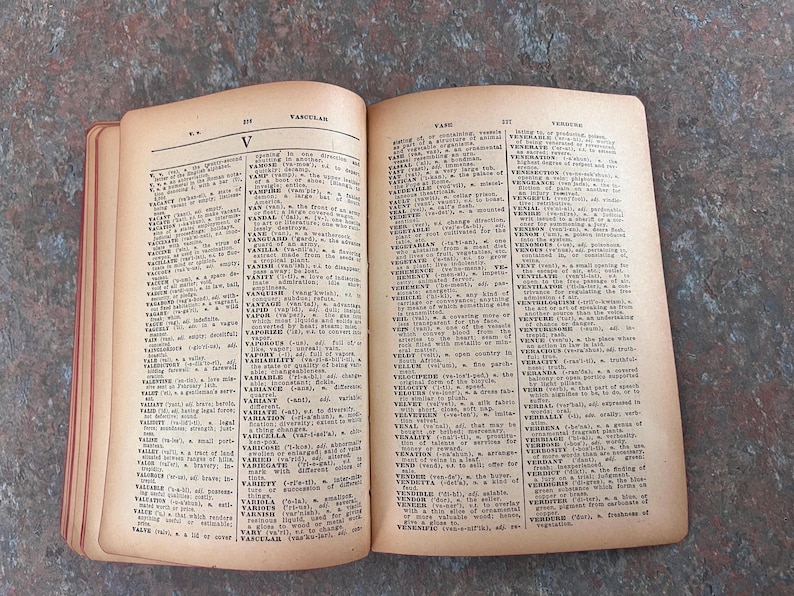 Modern Webster Dictionary and World Book. 1940. Black and gold with red page edges. image 11