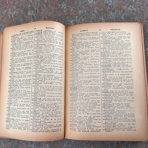 Modern Webster Dictionary and World Book. 1940. Black and gold with red page edges. image 8