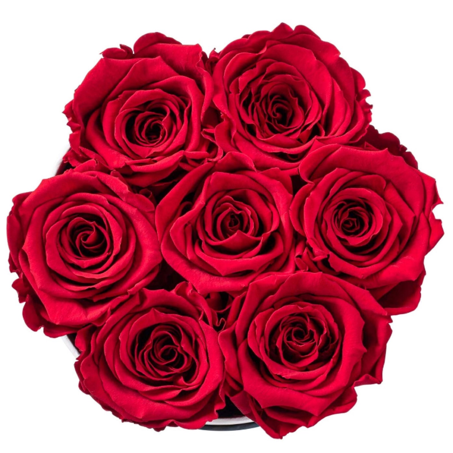 Real Roses That last a Year and More Fresh Flowers Eternal Etsy