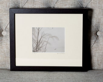 Original Palladium Framed Print