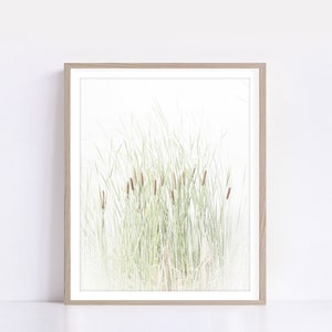 Cattails