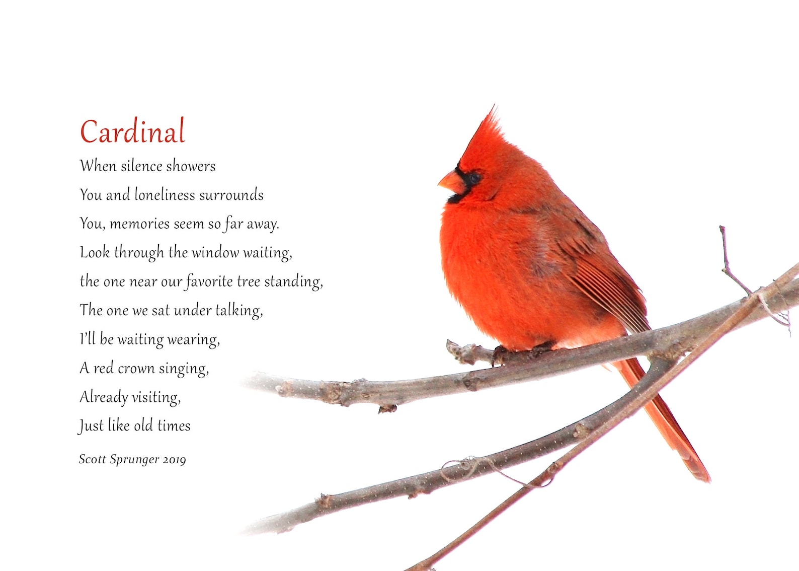 Cardinal Poem Printable Printable Blank World