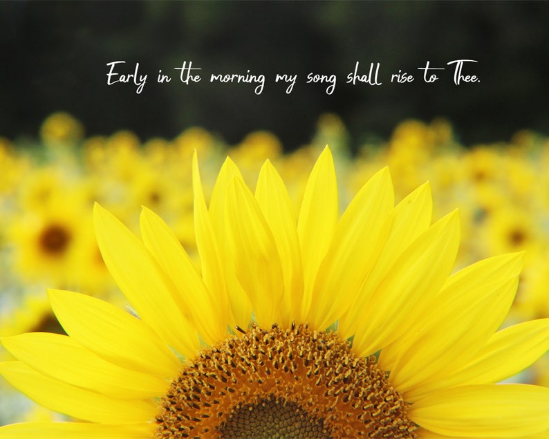 Sunflower Scripture Background Sunflower Bible Verse - Etsy