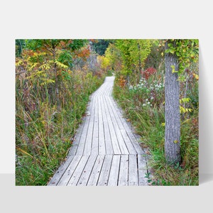 Autumn Trail Landscape Wall Art