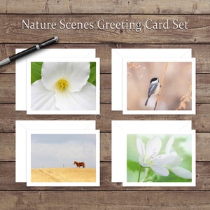 Nature Scenes Ensemble de cartes de vœux 4 Pack