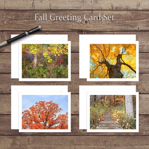 Jeu de cartes de vœux Fall Colors 4 Pack
