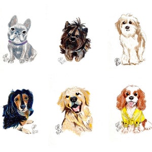 Custom Pet Portrait, Mini Pet Portrait, Hand drawn pet portrait, Custom dog portrait, Original personalized pet portrait from photo