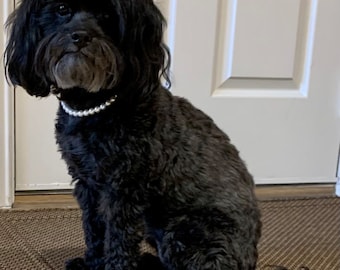 Pet Pearl Necklace, Stylish Handmade Dog Cat Jewelry