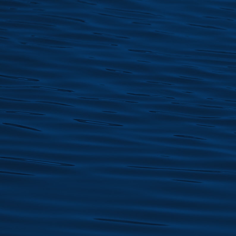 My Image 81