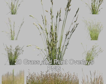 20 Grass & Plant PNG Overlays for Photoshop (Digital Download)