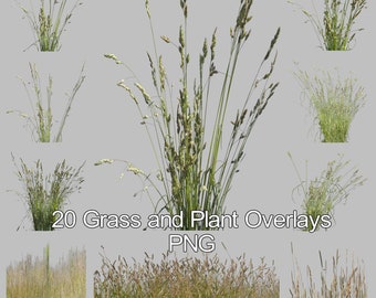 20 Gras und Pflanzen Overlays für Photoshop, Gras Overlays, Pflanzen Overlays, PNG Overlays, Digitale Downloads, Direkter Download