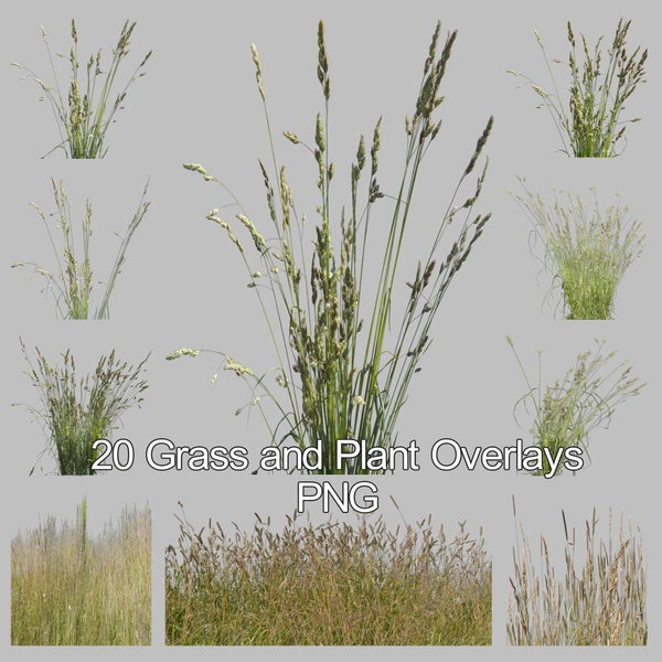 20 Grass and Plant Overlays for Photoshop, Grass Overlays, Plant Overlays, PNG Overlays, Digital Downloads, Instant Download