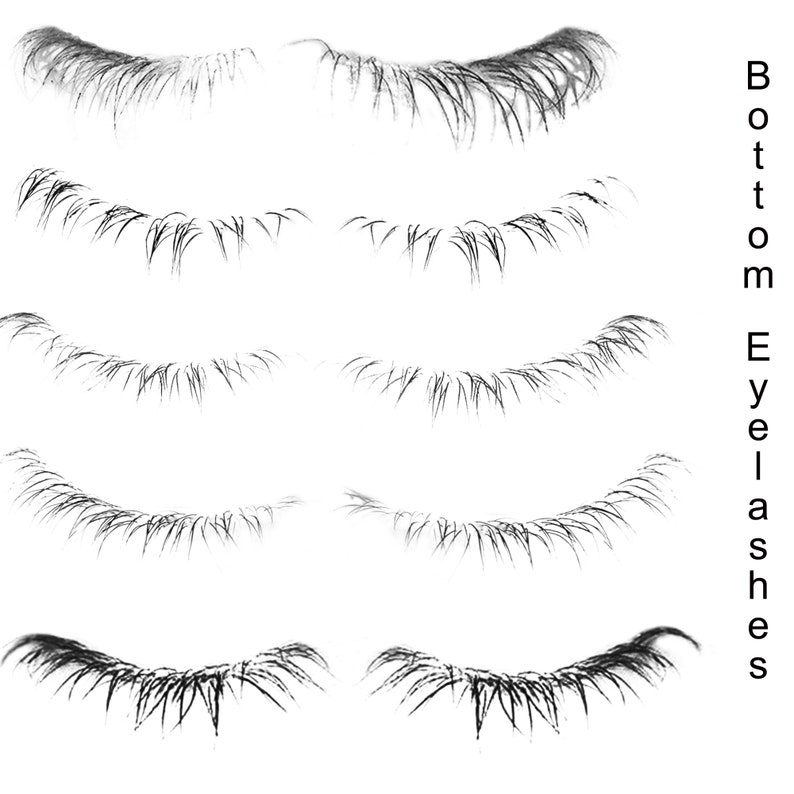 lashes for photoshop lashes for photoshop