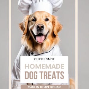 May include: A golden retriever dog wearing a white chef's hat and a white chef's jacket, holding a plate of spaghetti. The text on the image reads "RECIPE BOOK", "QUICK & SIMPLE", "HOMEMADE DOG TREATS", and "MAKE IN 10 MIN OR LESS!"