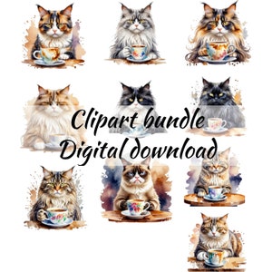Grumpy Cats Drinking Coffee Watercolor AI Generated Clipart Instant Download for Sublimation Design, Sad Cat Clipart, Cat Digital PNG Files