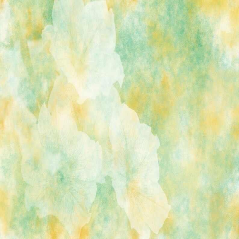 Fine Art Textures Textures Flower Textures Floral Etsy