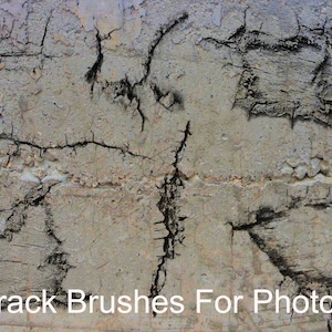 Photoshop Brushes, 40 Crack Brushes for Photoshop, Cracks, Trees, Dirt, Crack Overlays, Landscape Overlays, Digital Download
