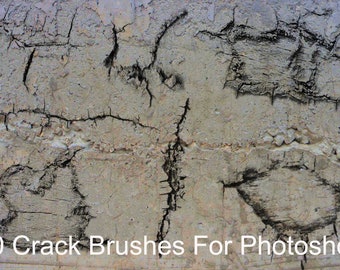 Photoshop Brushes, 40 Crack Brushes for Photoshop, Cracks, Trees, Dirt, Crack Overlays, Landscape Overlays, Digital Download