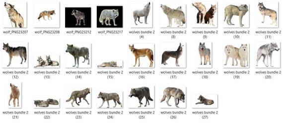 25 Wolf Overlays for Photoshop Wolves Animal Overlays - Etsy 25 Wolf Overlays for Photoshop Wolves Animal Overlays - Etsy