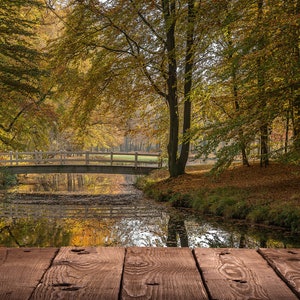 May include: A wooden bridge over a stream in a forest with fall foliage. The stream is reflecting the trees and the sky. A wooden plank surface is in the foreground.