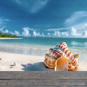Maqueta de escena de playa con conchas: Océano de verano (Descarga digital)