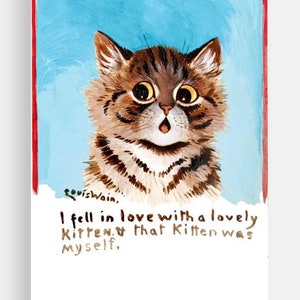 I Fell In Love With A Lovely Kitten Collection