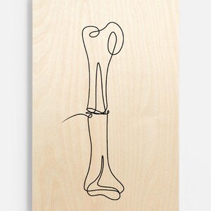 Bone Marrow Blackboard Collection