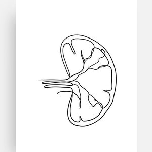 Minimalist Spleen Collection