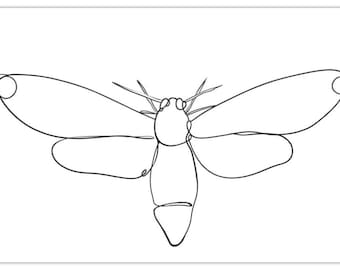 Minimalist Death Head Moth Collection