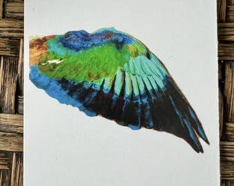 Michael's Wing Collection