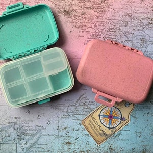 Tiny Luggage Travel RX Case
