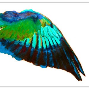 Michael&#39;s Wing Collection
