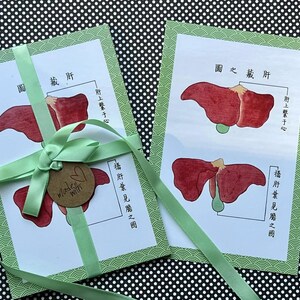 Puede incluir: Dos tarjetas con ilustraciones de hígado, atadas con una cinta verde claro y una pequeña etiqueta que dice "made with". Las tarjetas tienen un borde verde y texto en idioma extranjero.