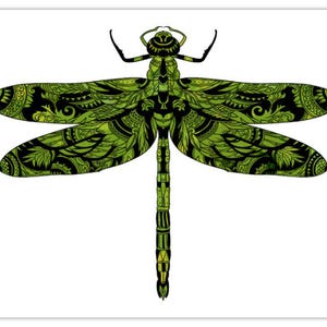 Libélula (Dragonfly) Collection