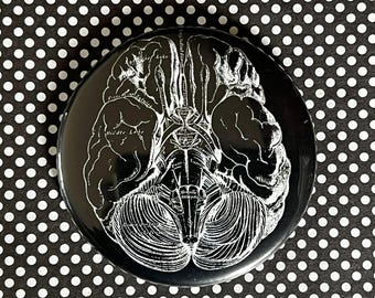 May include: A black button featuring a white anatomical diagram of the brain, with detailed labeling. The round button displays a detailed illustration of the brain's structure. It is set against a black and white polka dot background.