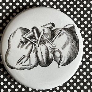 Puede incluir: Una ilustración anatómica en blanco y negro de un corazón y un hígado. La imagen está impresa en un botón blanco.