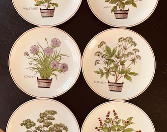 Set of Six Vintage Botanical Plates by Andrea By Sadek