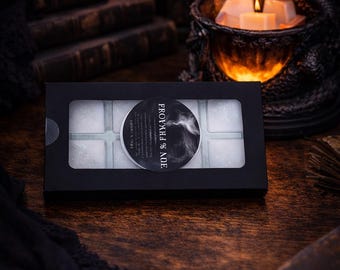 Dragon Rider Wax Melts | Dark Romance Fantasy Scent Collection | 8 Cavity Clamshell
